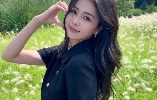 白鹿在陆虎婚礼上的发言体现了两人怎样的友情？