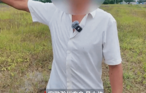 农民误信AI致百亩芝麻全毁 客服回应：AI没有知识库