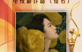 金鹰奖的国籍限制规则是否适用于所有个人奖项？