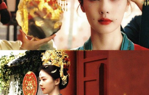 白鹿和欢娱合约到期后去哪发展？