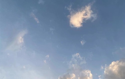 长期不开的油车，最毁车的不是停着不动，而是你忘了这一件事