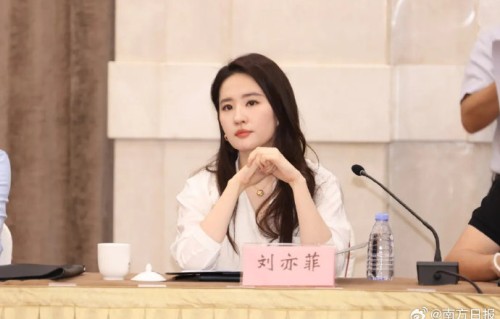 金鹰奖规则明确，刘亦菲因国籍无缘最佳女主角提名