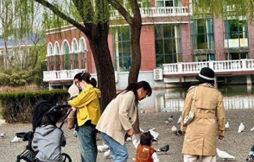 何穗带儿子逛公园喂鸽子 宝宝神态随陈伟霆显呆萌 