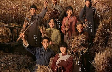 金鹰奖视后预测：六强“神仙打架”，闫妮冲击大满贯