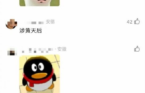 单依纯本人是否需要为其经纪人的商业行为承担法律责任或形象风险？|赵凯|扬扬|艺人|权责|侵权