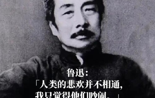 向太在访谈中说了什么引发向佐不满？