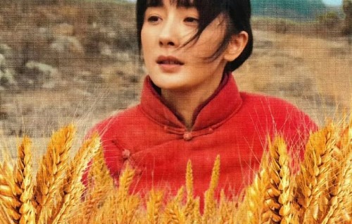 网传杨幂和杨紫在提名阶段票数打平，这个传闻是否得到官方证实？|最佳女主提名|生万物|国民生活剧|垂类行业剧|白玉兰奖