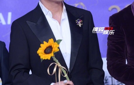 苏有朋在百花奖上为什么不是最佳男配角获奖者？