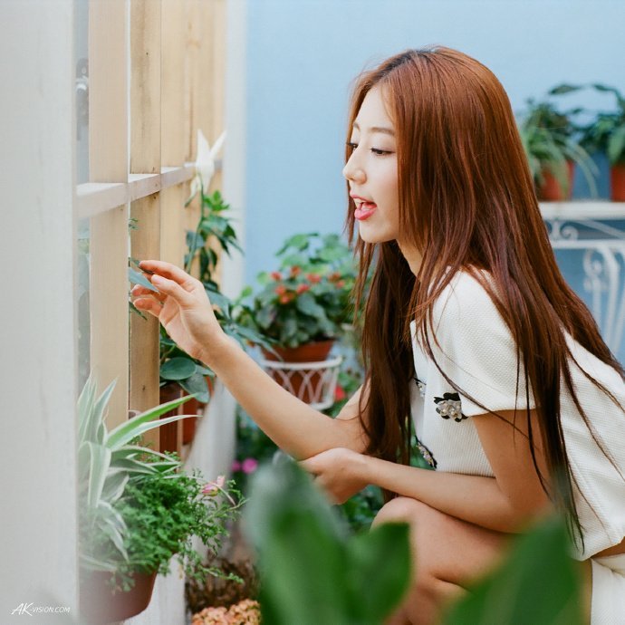 中戏教授提到的“流量与实力平衡”，在白玉兰评审中具体指哪些考量标准？_手机新浪网