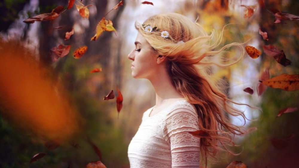 白鹿“疯批女官”燃爆2026古装悬疑赛道，创新之作引领行业新风潮