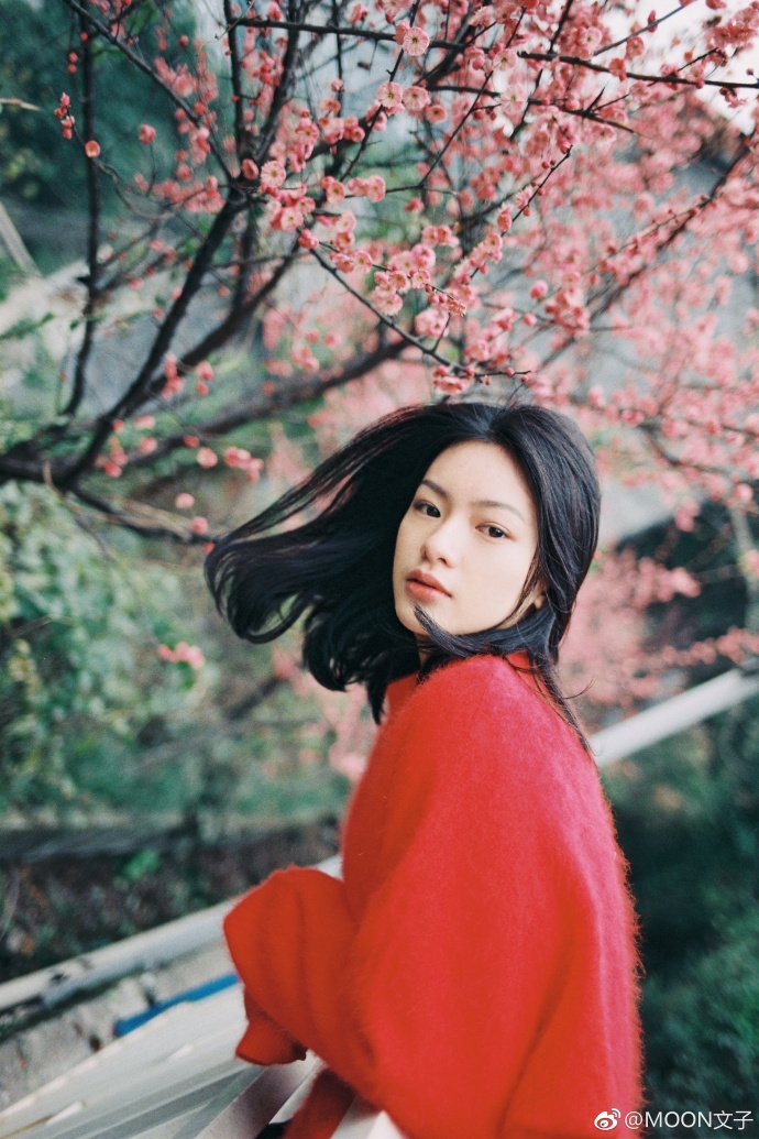 何晟铭与徐麒雯分手后，他们各自的现状如何？