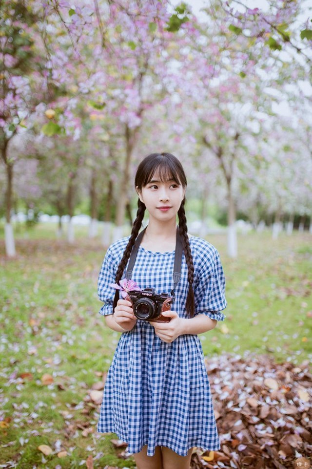 曾沛慈的情怀牌在浪姐7中，是否能复制王心凌的成功路径？