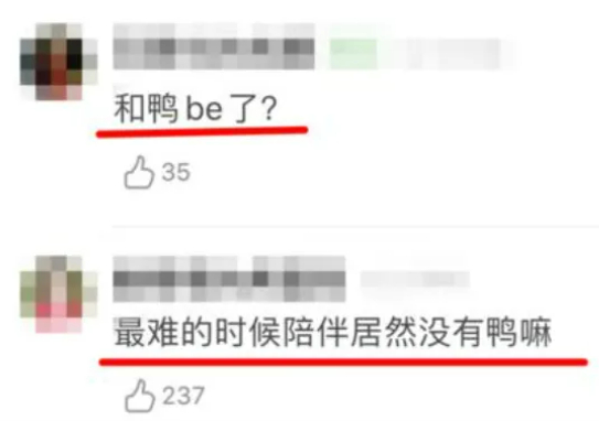  打开网易新闻 查看精彩图片 