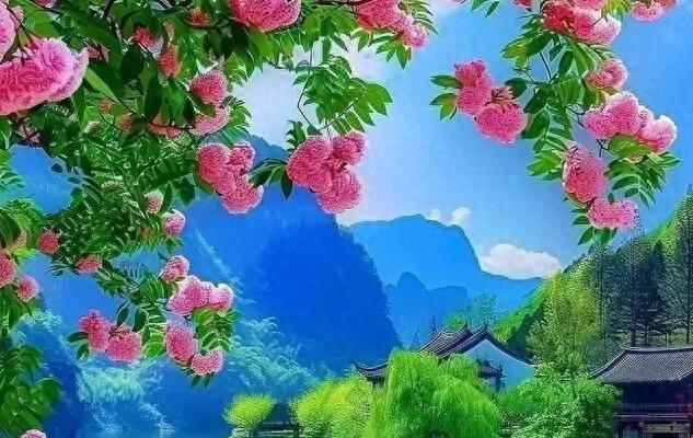 图片